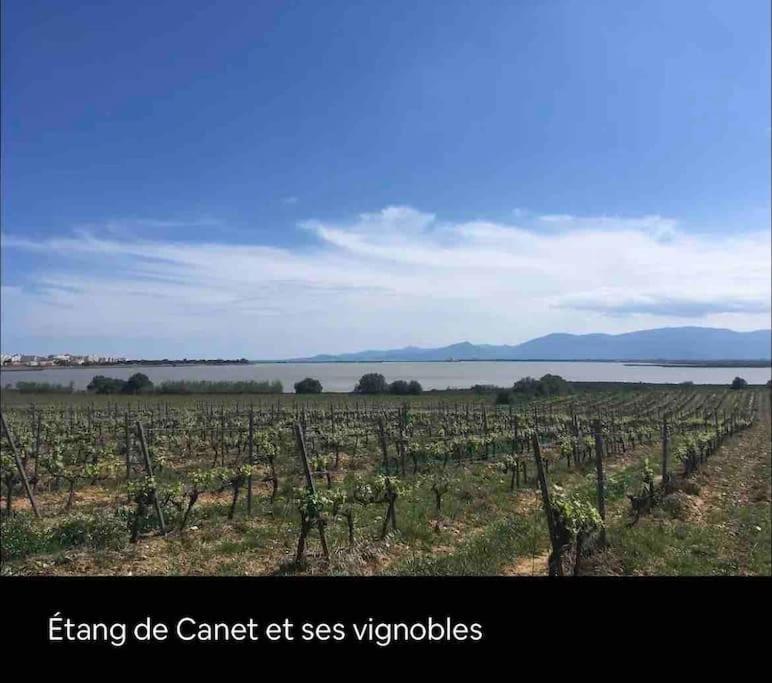 Coquet Appartement Canet-en-Roussillon Ngoại thất bức ảnh